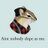 pietiks's profile image