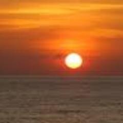 services companies that prepare or obtain land and houses in bali