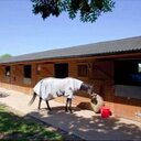 julia cutler - @juliacuts - Twitter