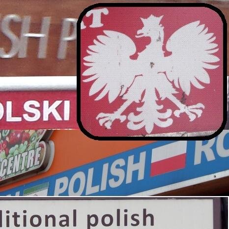 PolishLondoners's profile picture. Polish community heritage in London: exploring the past, recording the present.  Find out more: http://t.co/F40z4T1Rr5. Tweets by @Marta_Lomza