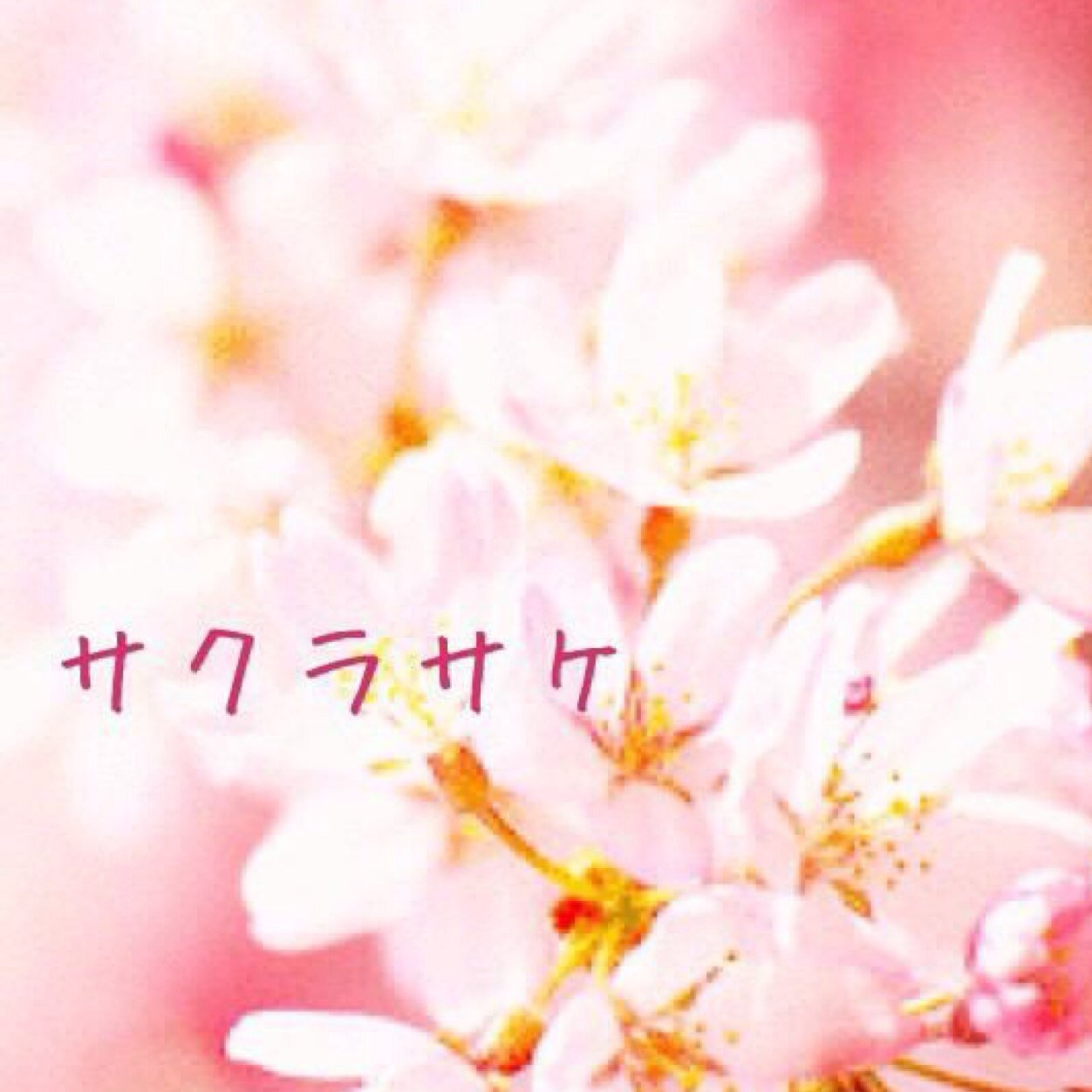 Timecapsule__'s profile picture. 卒業する頃の自分へ向けたメッセージ