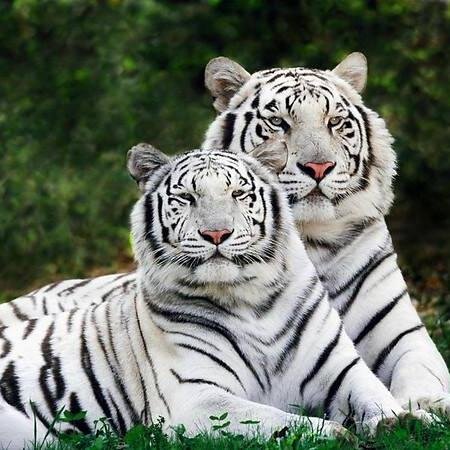 Viralyo1's profile picture. Noticias virales que te sorprenderán ;)
http://t.co/2gqMUqVod8