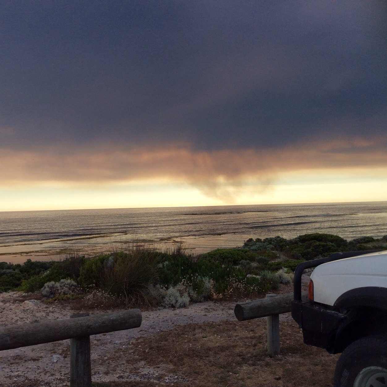 WavesAdams's profile picture. 