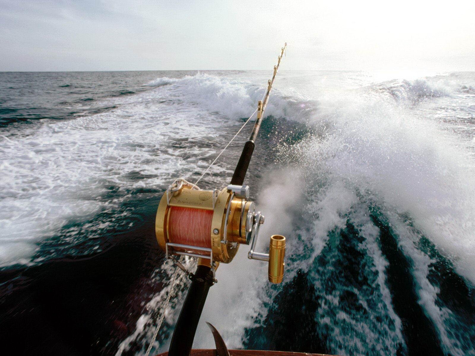 Travel, Fishing, Laughing