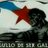 carnolu's profile image
