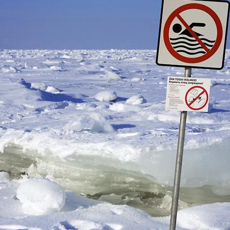 Lauri1012's profile picture. 