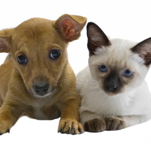 Care-A-Van is a mobile vaccine service providing pet owners with convenient access to low-cost vaccines & products to keep their dogs & cats healthy.