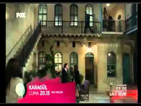 hayvan sever akıllı çalışkan