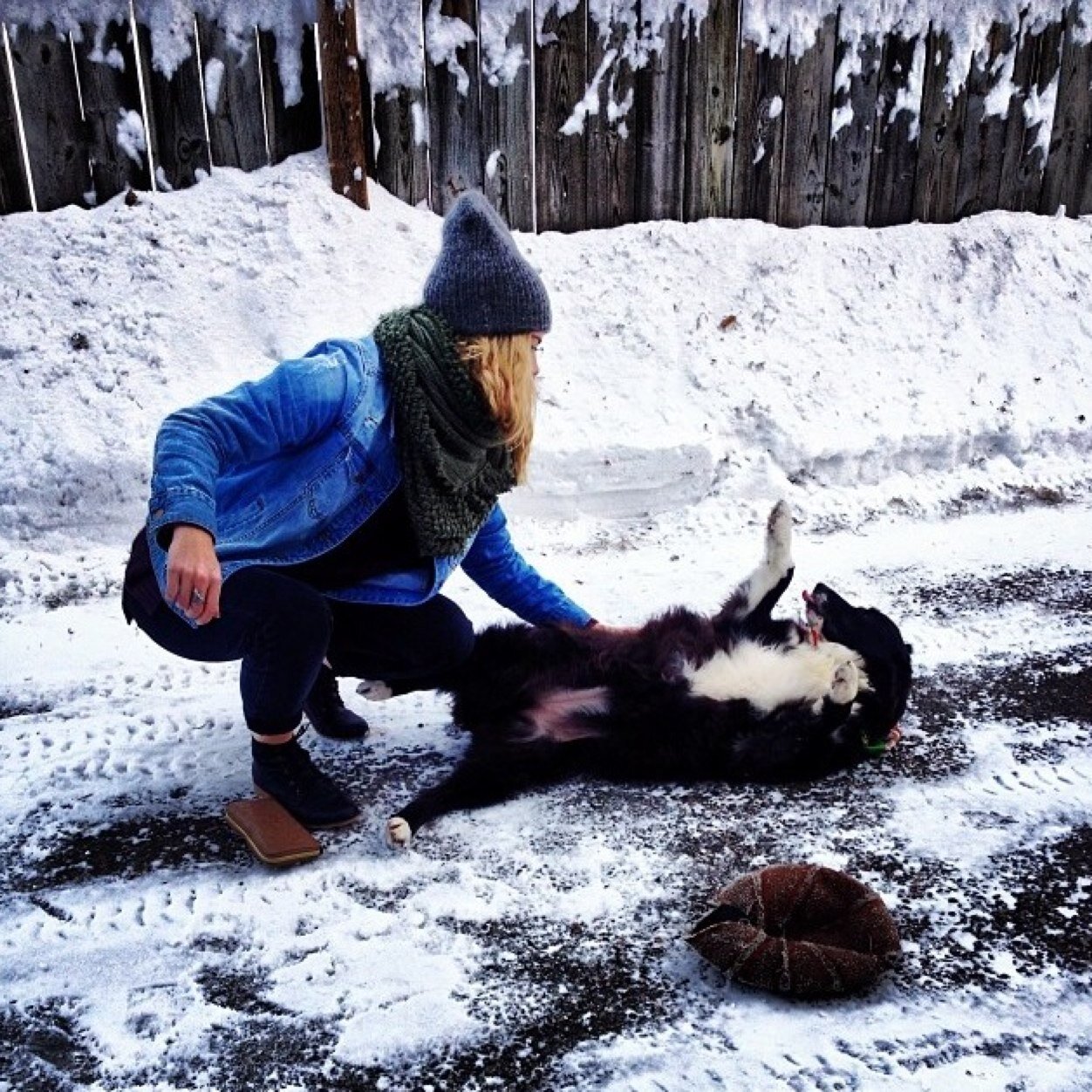 christine_olsen's profile picture. ..