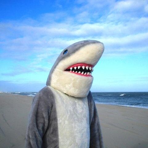 SharkDiddy's profile picture. Official Summit Family Aquatic Center Icon, loves tuna fish sandwiches