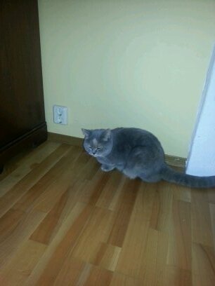 smarte_jente's profile picture. jenta fra fana