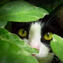 marta isabel viera - @miv2014 - Twitter