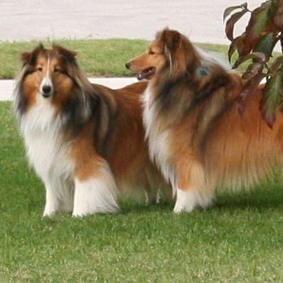 SteveSkinner60's profile picture. 