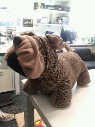 I am CUSU's doorpug and the sabbs best friend. Come and see me in the Hub anytime for a tail or two!