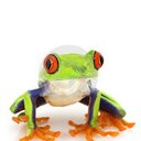 Michael John Phipps - @Krazfrogs_booty - Twitter