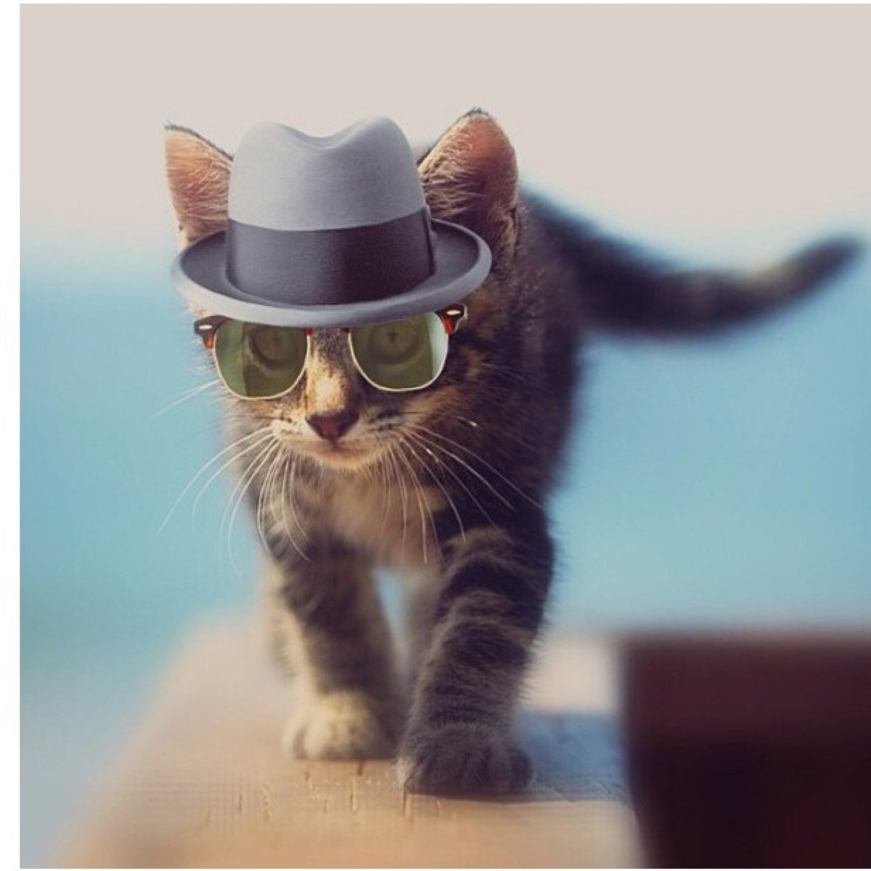 michitam__lune's profile picture. 時間があれば西へ東へと旅に出ます♡ミュージカル観劇も好き♡以前は宝塚にハマってたけど今はLDHに目覚めた様子…劇団EXILE青柳翔さん🎶三代目JSB ØMIくん🎶最近新しい推しも♡豊田裕大くん🎶