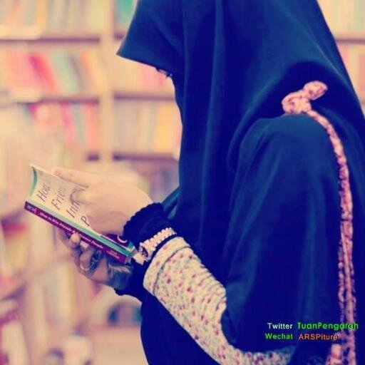 Quite expert in Arabic,English & Critical Thinking
Blurr Person