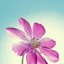 Florence Lim - @Florence1im - Twitter