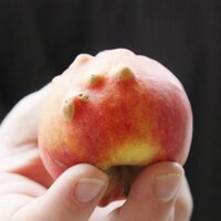 yvonne von hunnius (@yvonuk) Twitter profile photo