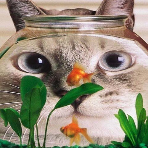 tinaowe10982145's profile picture. I am a whovian and a sherlockian, a fan of ncis & love horror films, anything to do with the paranormal & i read books & i love animals.