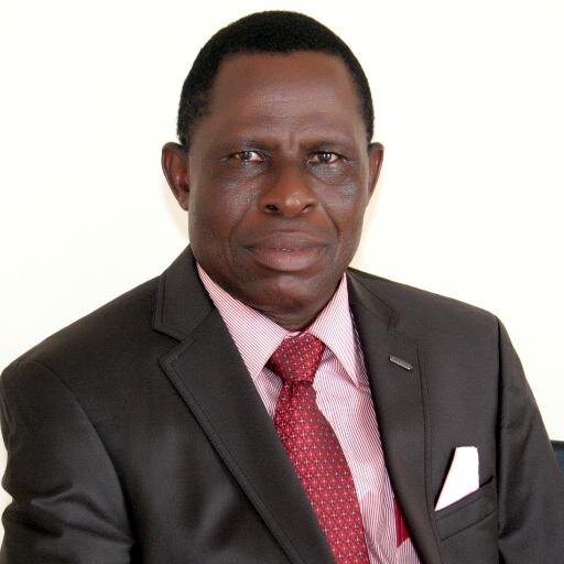 Professor of Engineering and Environmental Geology, University of Port Harcourt