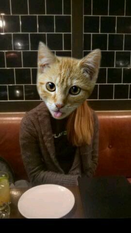 mcat_uhm's profile picture. 