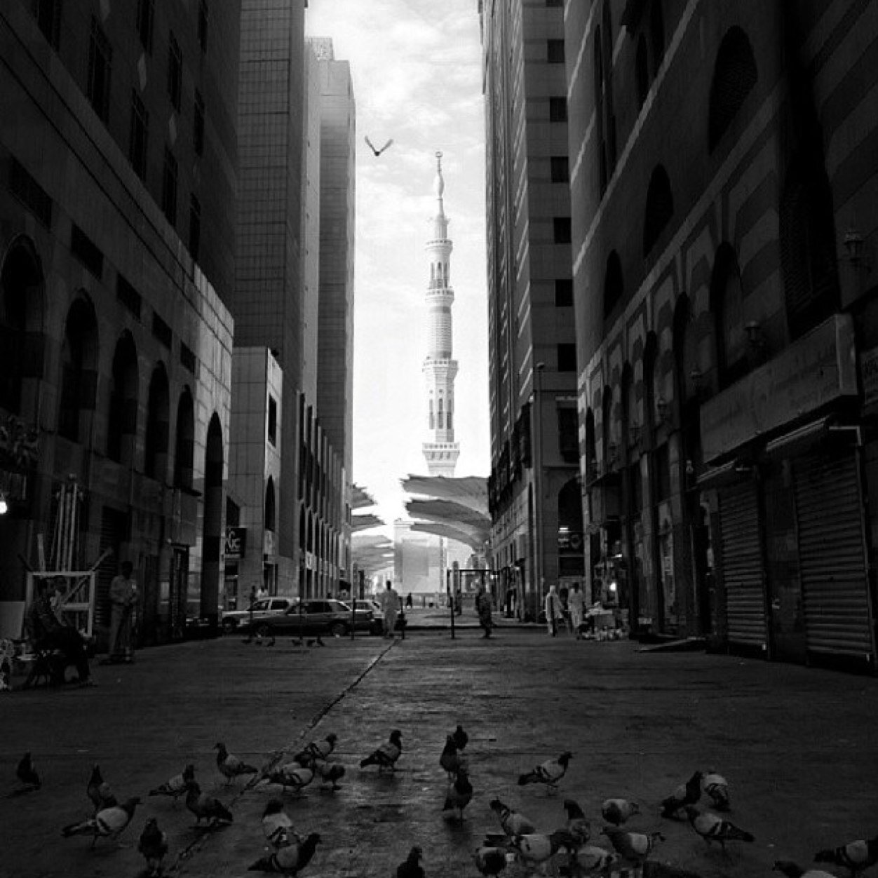 ثواب هذا الحساب صدقة جارية ( لكل مسلم ومسلمه ) ، وعن كافة المتابعين والناشرين للحساب وعني وعن والدي ووالدتي ..