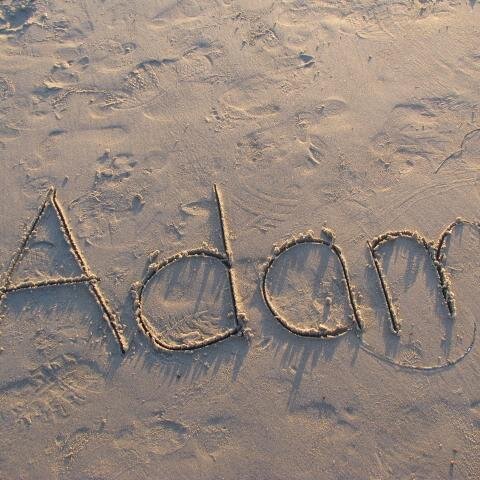 I'm Adam Dik and the oldest are many and varied things.
https://t.co/3EM6n3iOQS
https://t.co/adhRyYJZvC