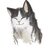 SomeWeirdBoyo's profile image