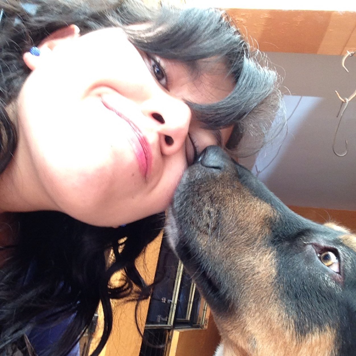 Ldaniela92's profile picture. 