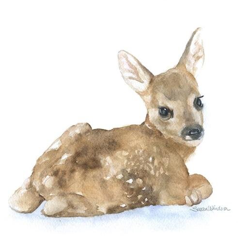 Petit Bebe Biche Bebe Biche Twitter Petit Bebe Biche Bebe Biche Twitter