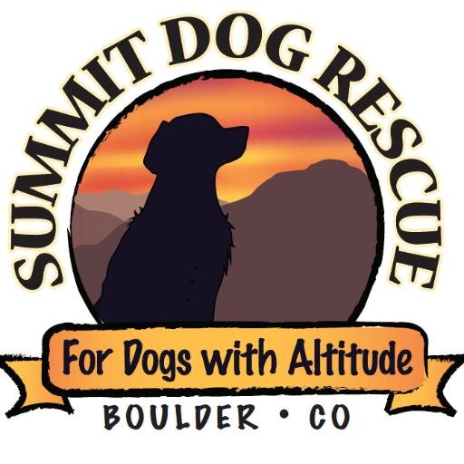 We're a 100% volunteer-run non-profit rescue based in Boulder, CO. To foster, adopt or donate: https://t.co/el6HjBkkXu