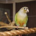 Fred Steson - @Fred_Stetson - Twitter