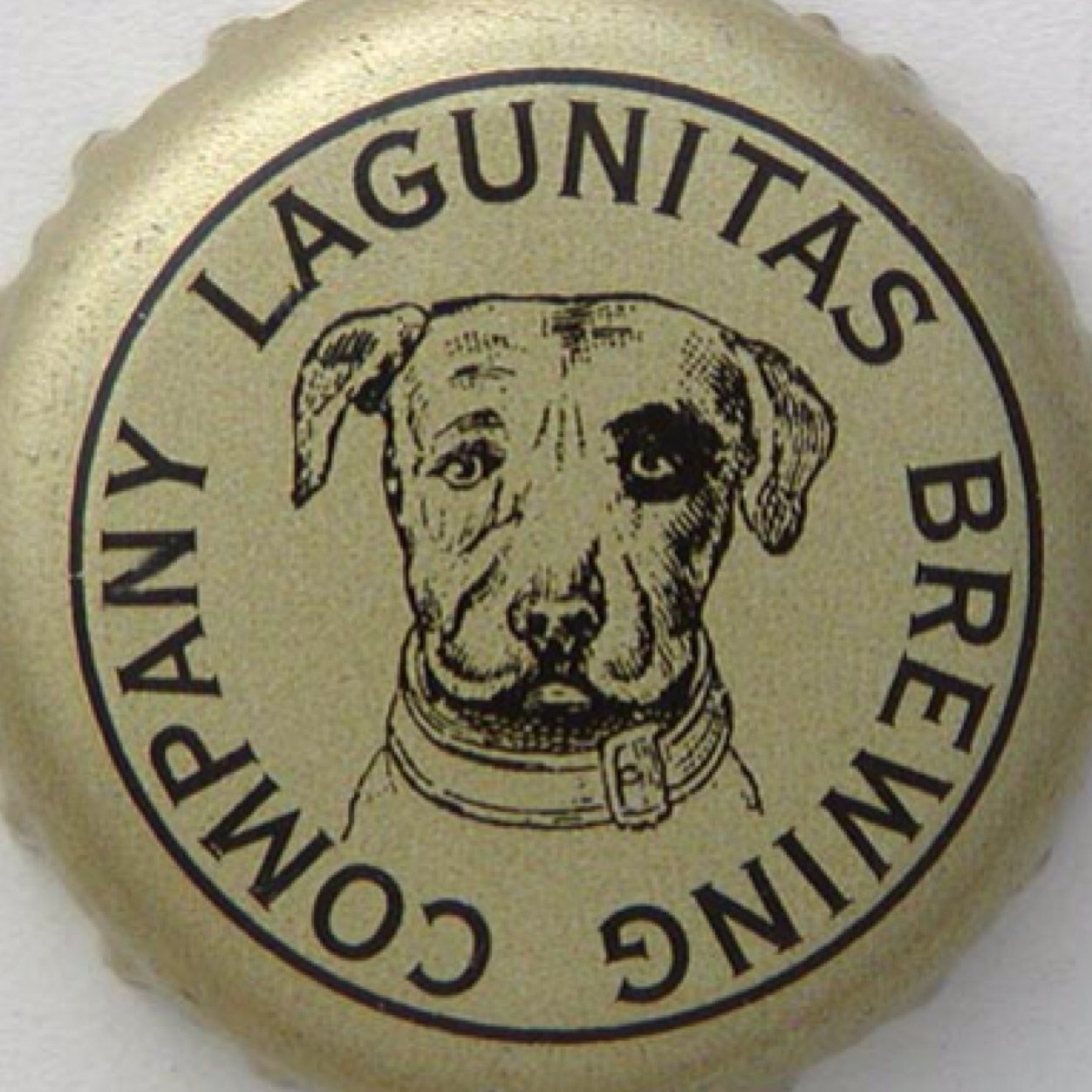 AdamLagunator's profile picture. Atlanta, GA - Lagunitas Beer Cheerleader