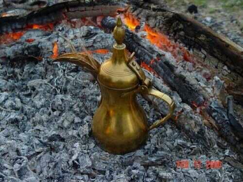 ‏‏لبيع وشراء جميع الاغنام