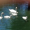 Joy Moore - @TisjoyJoy - Twitter