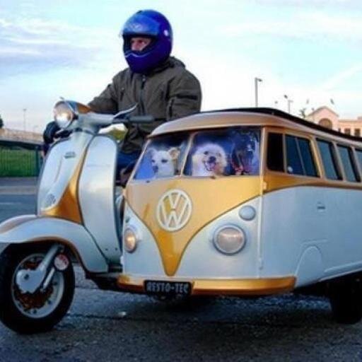 PuxaGilman's profile picture. E. Iowa river rat. Hawkeye and Cubbie every damn day of the year.