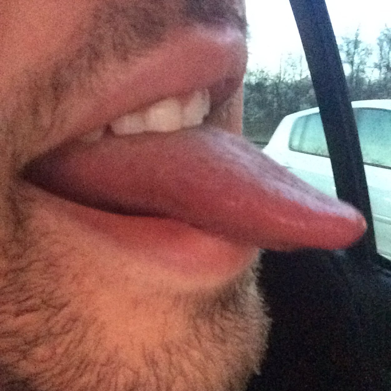 jaimeleschattes's profile picture. Je suis un expert du cunnilingus,et du bouffage de fions.