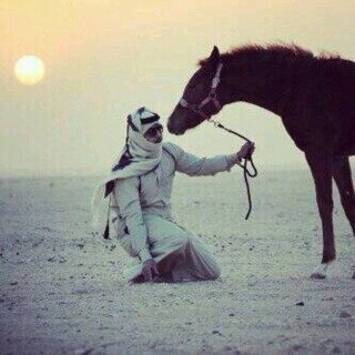ي كبــار ﺎلكلام وي صغار ﺎلعقــول كذبكم ما يحرک فالشموخ شعــره ماتبور ﺎلحقايق وﺎلنصيحه تقـــول رﺎعي ﺎلطيب عزه وﺎلحقير ﺎحقره