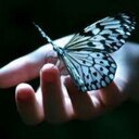 Lisa Barcelo - @lisa_randf - Twitter