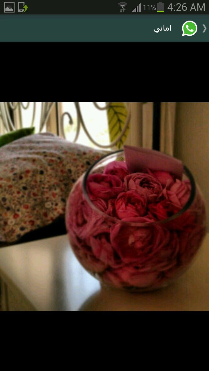 mmmmm12121212's profile picture. 