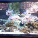 Toni Henry  - @tonihenry0418 - Twitter