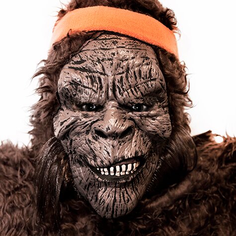 Oddball Employee. Hide-and-Seek Expert. Nature Enthusiast. Paleo Diet. 450 years young.