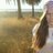 Belenpineda18's profile image