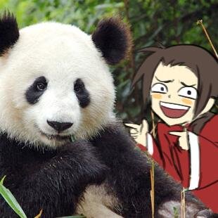 #bot account @ChinaTakesAll