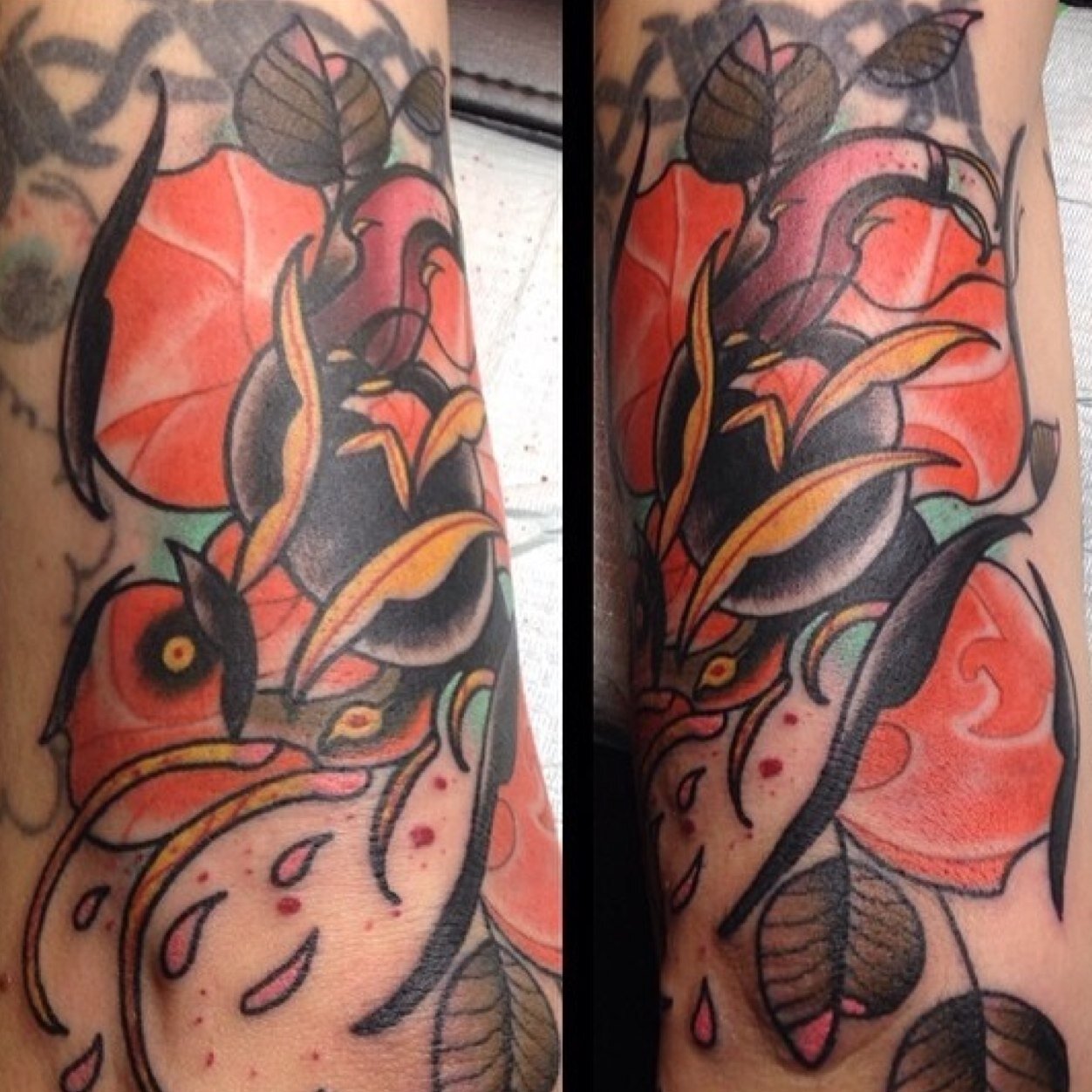 Koyanykyaaig Some Alice In Wonderland Bread N Butterflies I Did Today Tattoos Tnttattoo Kornykraig Inkjunkeyz Inkjunkeyz Http T Co 1mdq8p7evq Koyanykyaaig Some Alice In Wonderland Bread N Butterflies I Did Today Tattoos Tnttattoo Kornykraig Inkjunkeyz Inkjunkeyz Http T Co 1mdq8p7evq