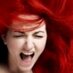 Susie Haft (@susiehaft) Twitter profile photo Susie Haft (@susiehaft) Twitter profile photo