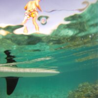GetSUPing (@getsuping) 's Twitter Profile