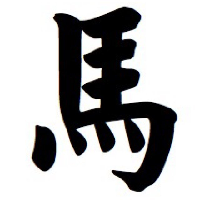 sulli5826's profile picture. Equine Photographer and Videographer