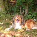 andrew flint - @FlintAndyflint - Twitter